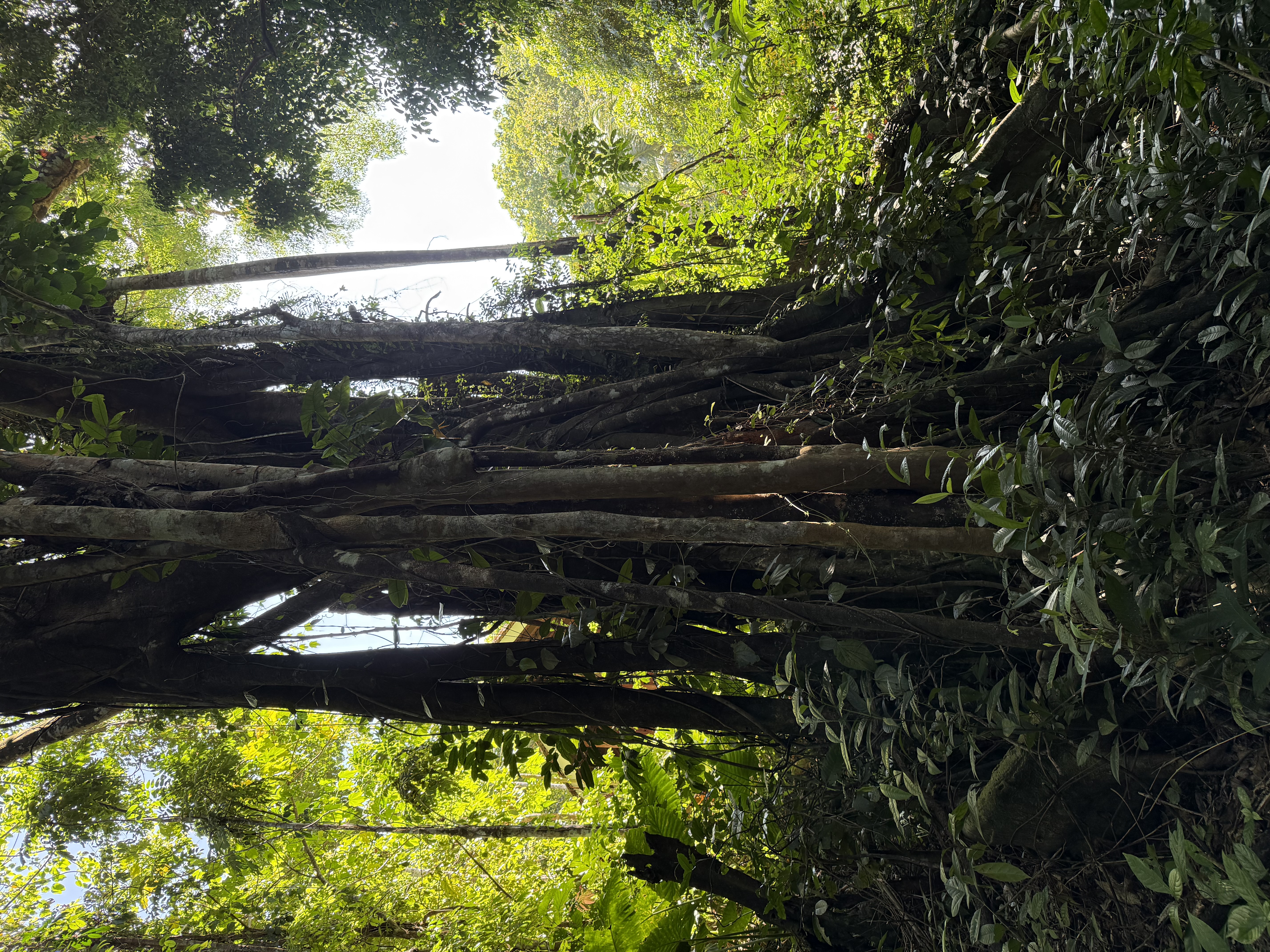 All image 11