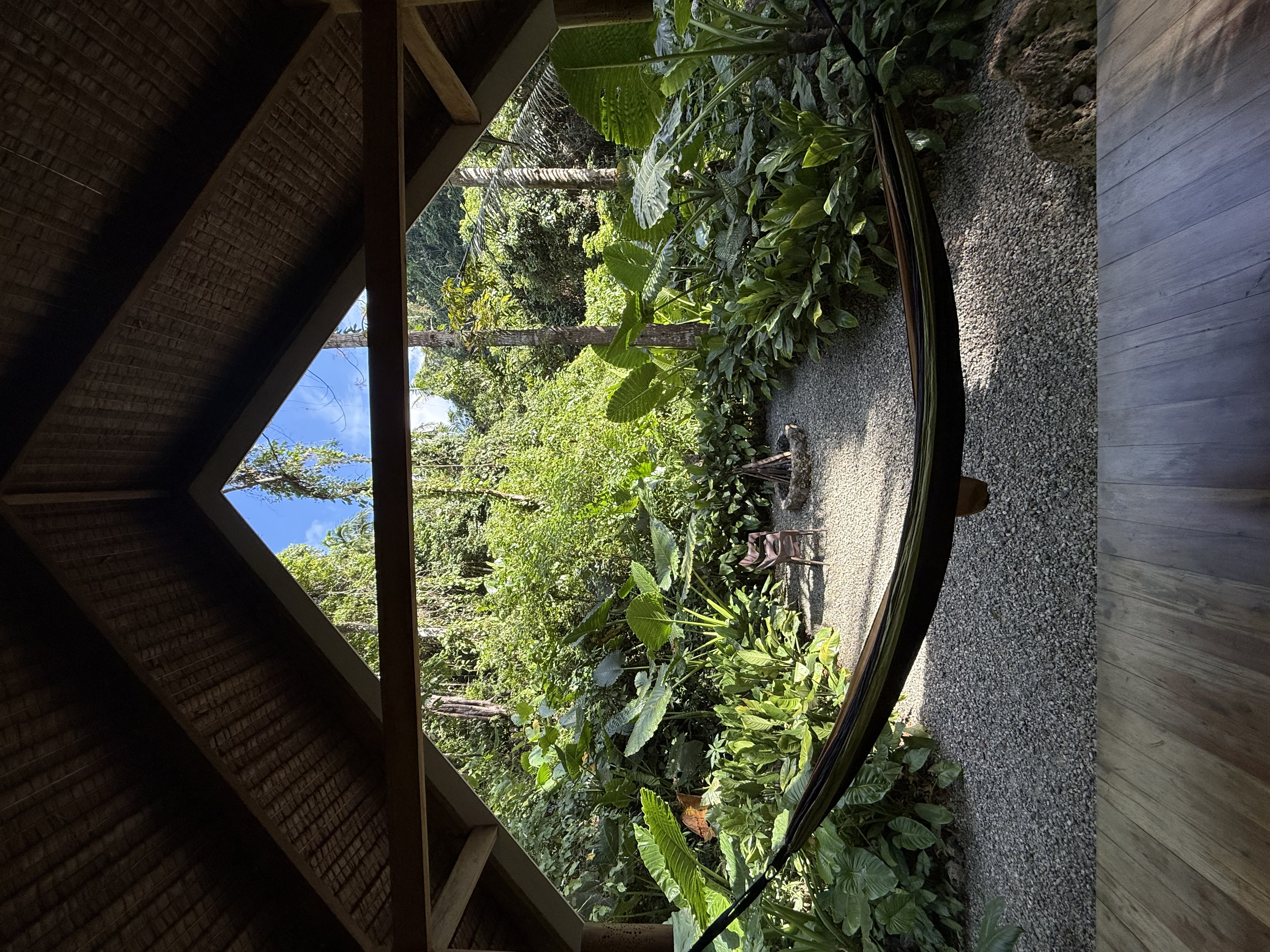 All image 12