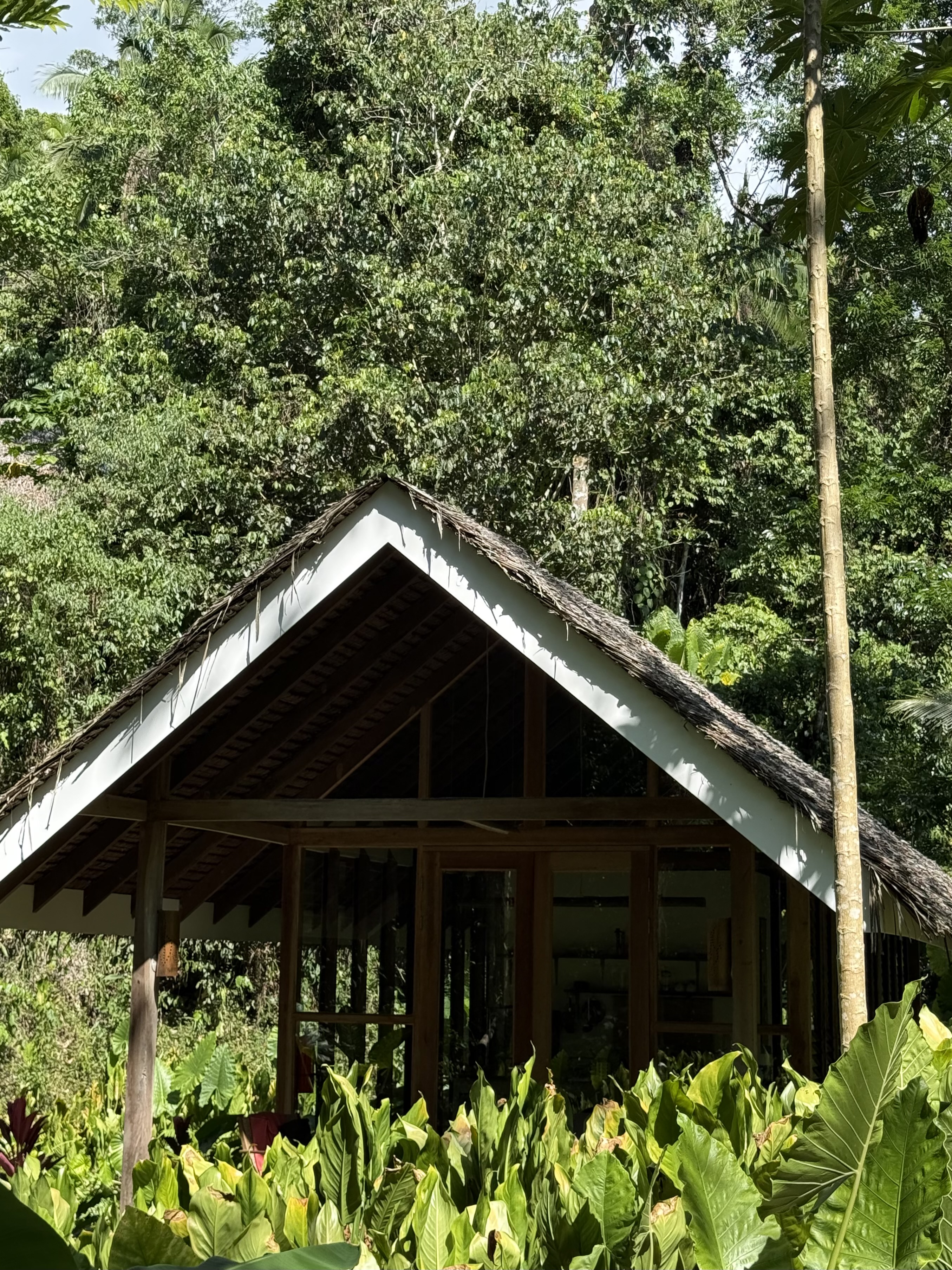 All image 16